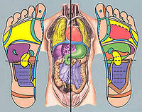 Reflexology. reflexologymapofbody